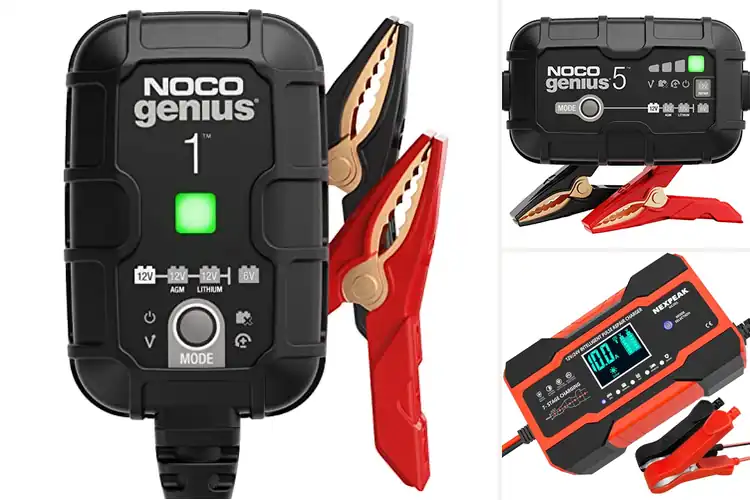 Detailed view of Best Car Battery Maintainers
