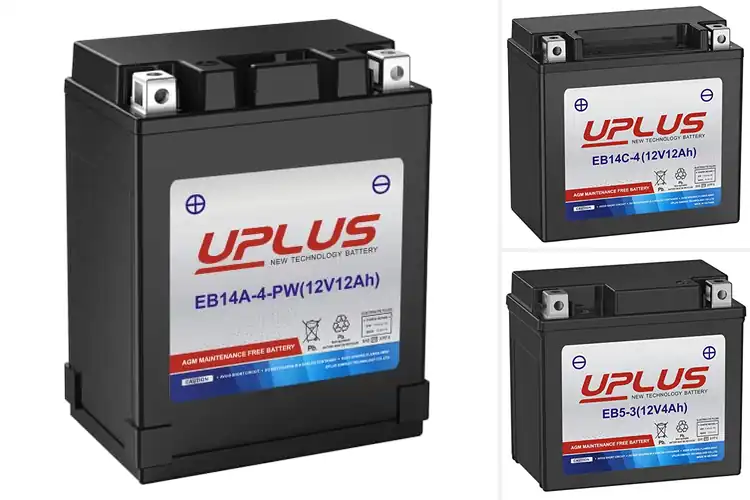 Detailed view of Best Warranty For Motorcycle Battery 15 Months